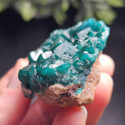 Dioptase Specimen from Congo 51g