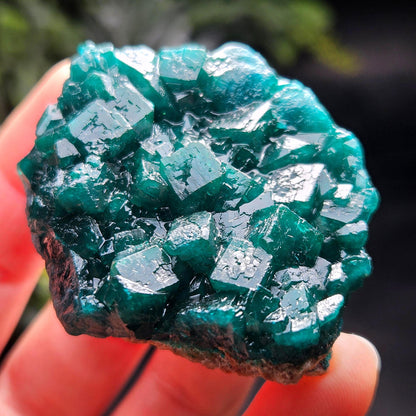 Dioptase Specimen from Congo 51g