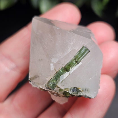Green Tourmaline in Quartz Crystal 45g, Brazilian Quartz with Tourmaline, Green Tourmaline Specimen, Tourmaline Crystal