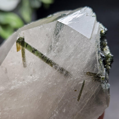 Green Tourmaline in Quartz Crystal 113.89g, Brazilian Quartz with Tourmaline, Green Tourmaline Specimen, Tourmaline Crystal