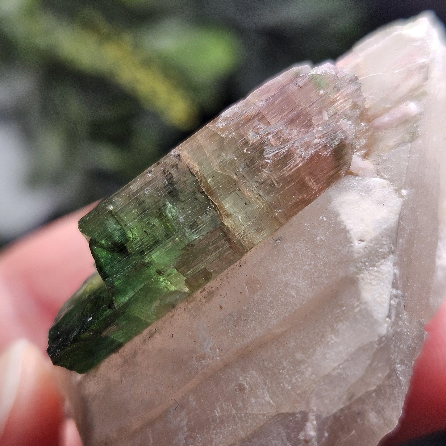 Watermelon Tourmaline on Quartz 53.32g