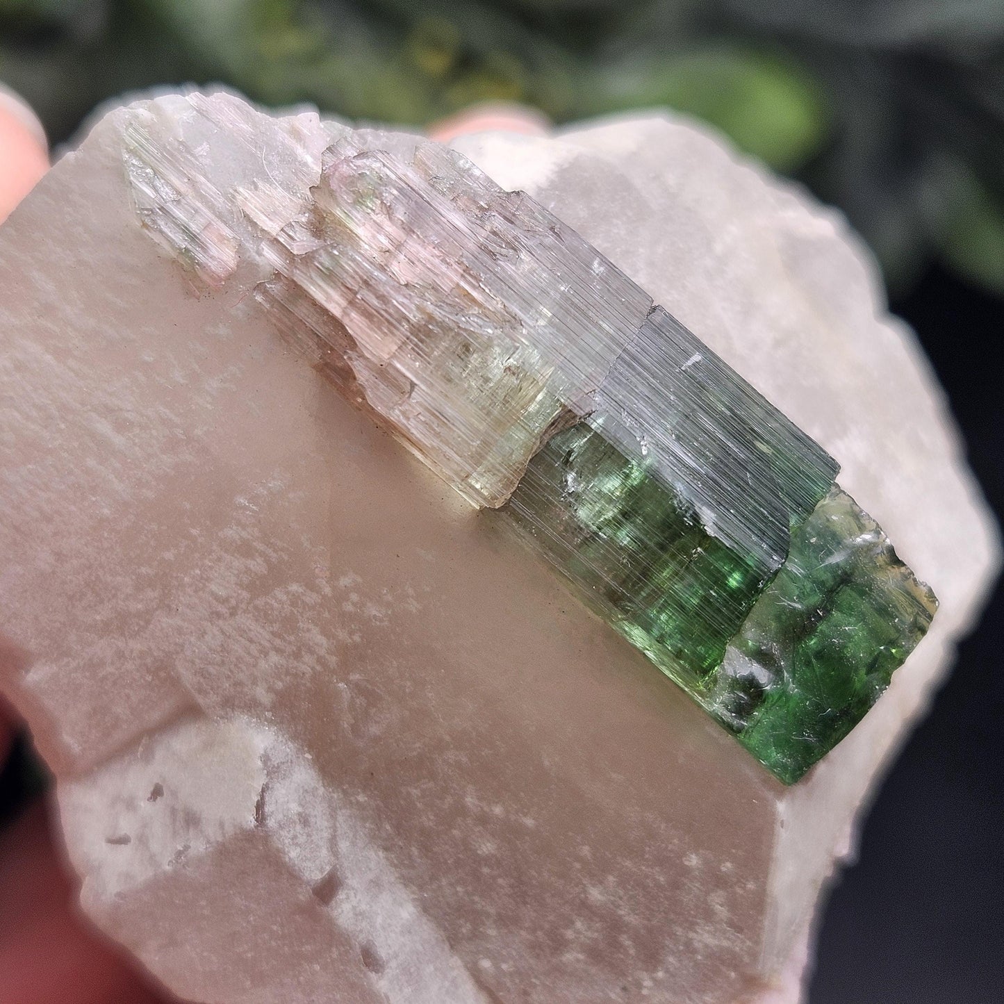 Watermelon Tourmaline on Quartz 53.32g
