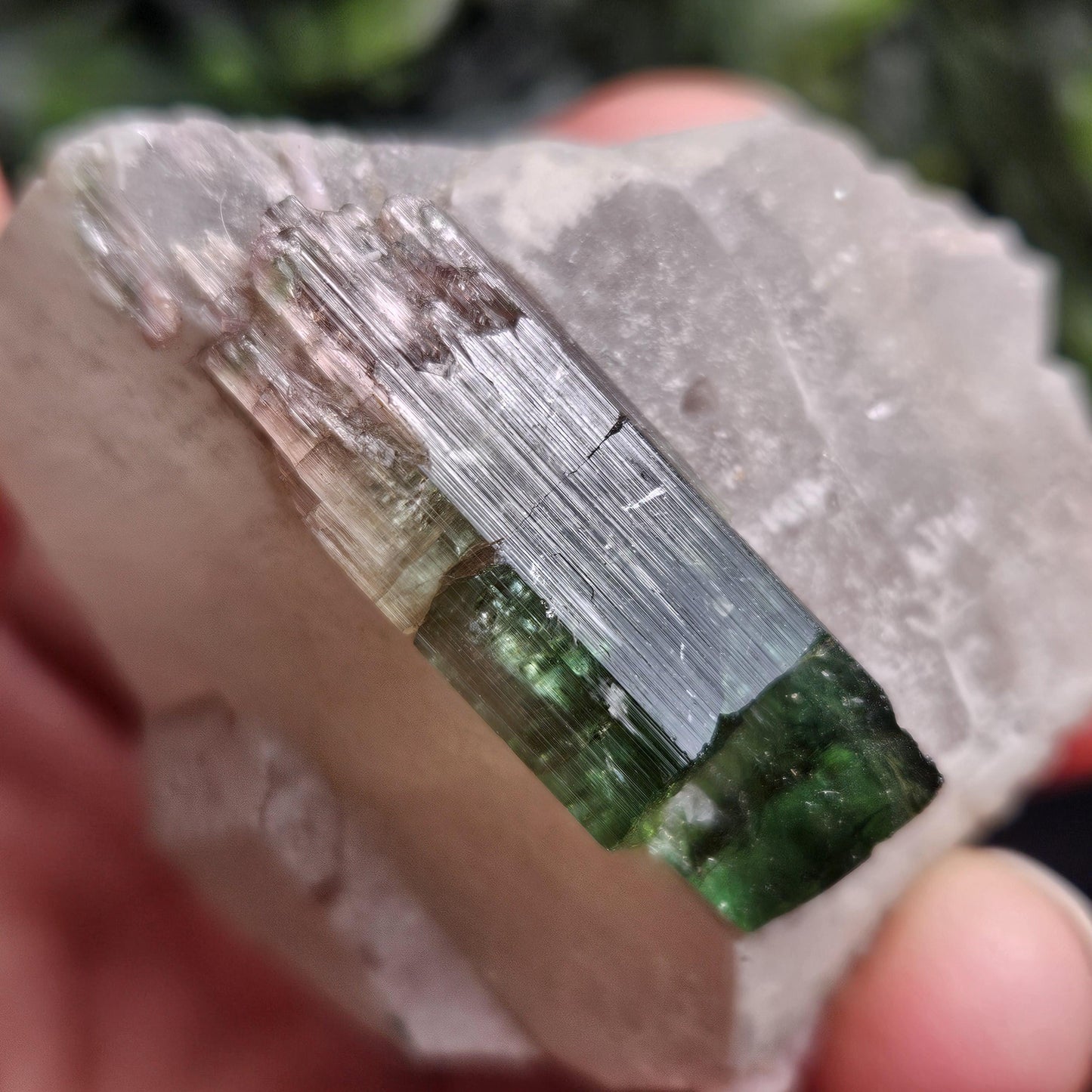 Watermelon Tourmaline on Quartz 53.32g