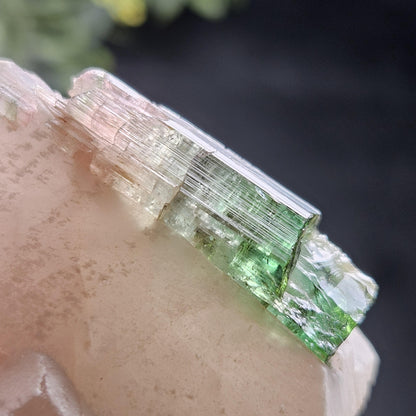 Watermelon Tourmaline on Quartz 53.32g