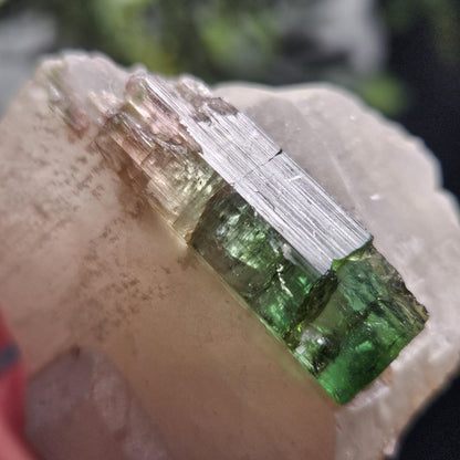 Watermelon Tourmaline on Quartz 53.32g