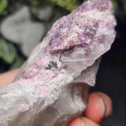 Pink Tourmaline in Lepidolite & Quartz from Brazil 293g, Watermelon Tourmaline, Raw Brazilian Tourmaline Specimen, Lepidolite Crystal