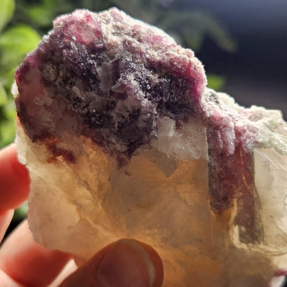 Pink Tourmaline in Lepidolite & Quartz from Brazil 293g, Watermelon Tourmaline, Raw Brazilian Tourmaline Specimen, Lepidolite Crystal