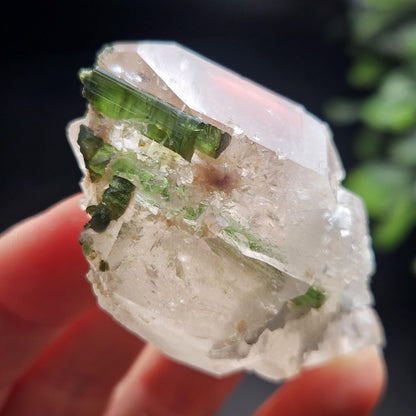 Green Tourmaline in Elestial Quartz Crystal 45g, Brazilian Quartz with Tourmaline, Green Tourmaline Specimen, Tourmaline in Quartz Crystal
