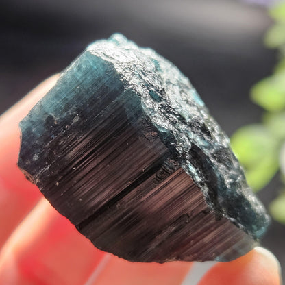 Blue Tourmaline Crystal 47.67g, Indicolite Specimen from Brazil, Blue Indicolite Crystal, Bicolor Tourmaline