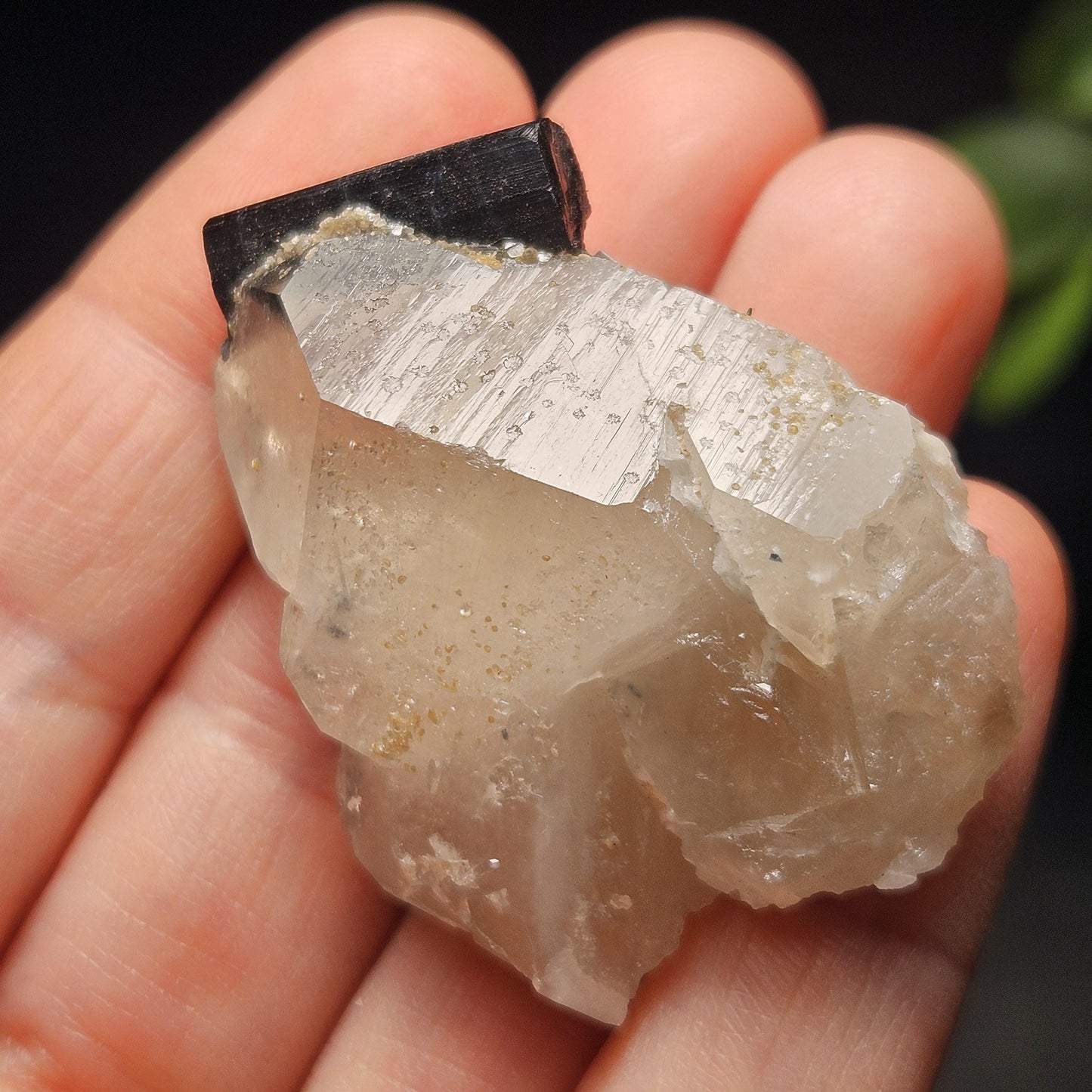 Blue Tourmaline on Quartz Crystal 26.15g, Indicolite Specimen from Brazil, Blue Indicolite Crystal, Tourmaline and Quartz