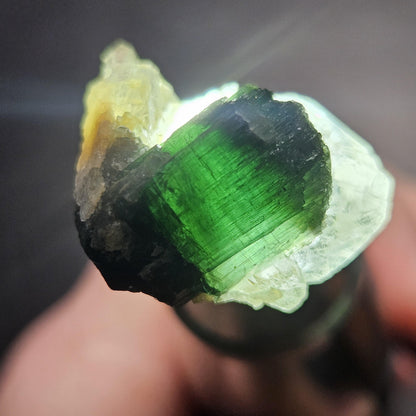 Green Tourmaline on Quartz Crystal 7.94g, Terminated Specimen from Brazil, Teal Blue Tourmaline and Quartz