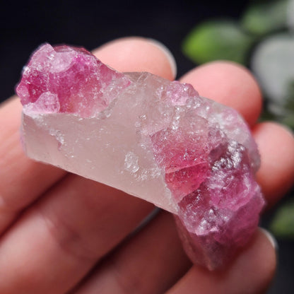 Pink Watermelon Tourmaline in Quartz from Brazil 29.64g, Raw Brazilian Tourmaline Specimen, Pink Tourmaline Crystal