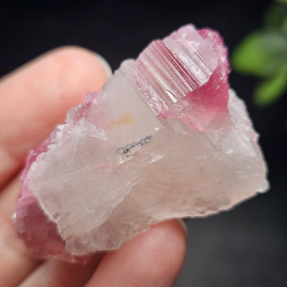 Pink Watermelon Tourmaline in Quartz from Brazil 29.64g, Raw Brazilian Tourmaline Specimen, Pink Tourmaline Crystal