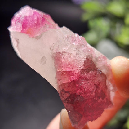 Pink Watermelon Tourmaline in Quartz from Brazil 29.64g, Raw Brazilian Tourmaline Specimen, Pink Tourmaline Crystal