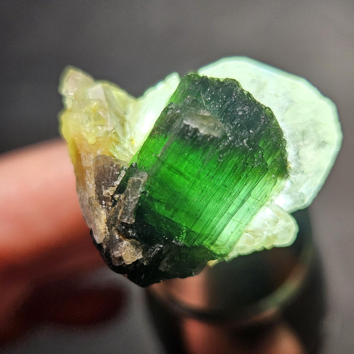 Green Tourmaline on Quartz Crystal 7.94g, Terminated Specimen from Brazil, Teal Blue Tourmaline and Quartz
