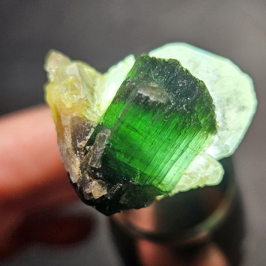 Green Tourmaline on Quartz Crystal 7.94g, Terminated Specimen from Brazil, Teal Blue Tourmaline and Quartz