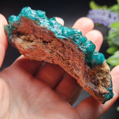 Dioptase Cluster Specimen from Congo 115g