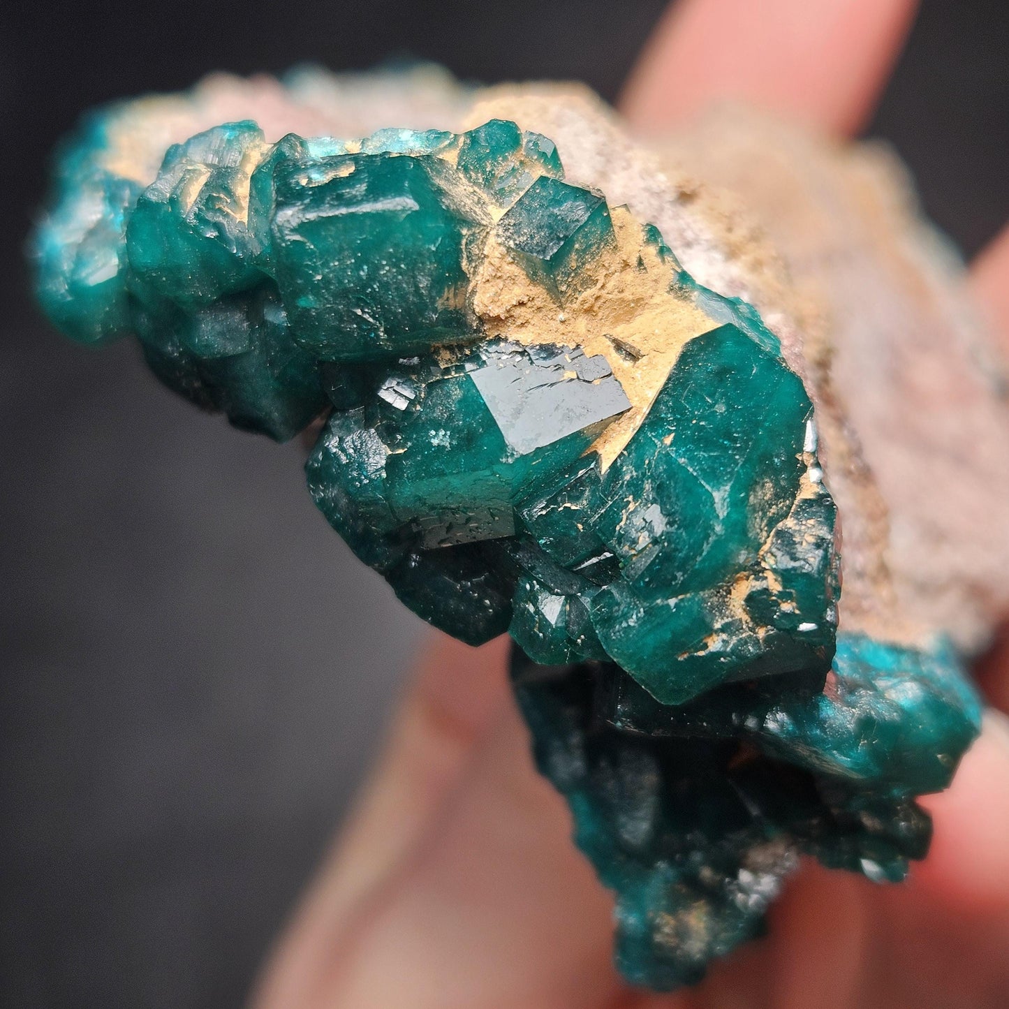 Dioptase Cluster Specimen from Congo 115g