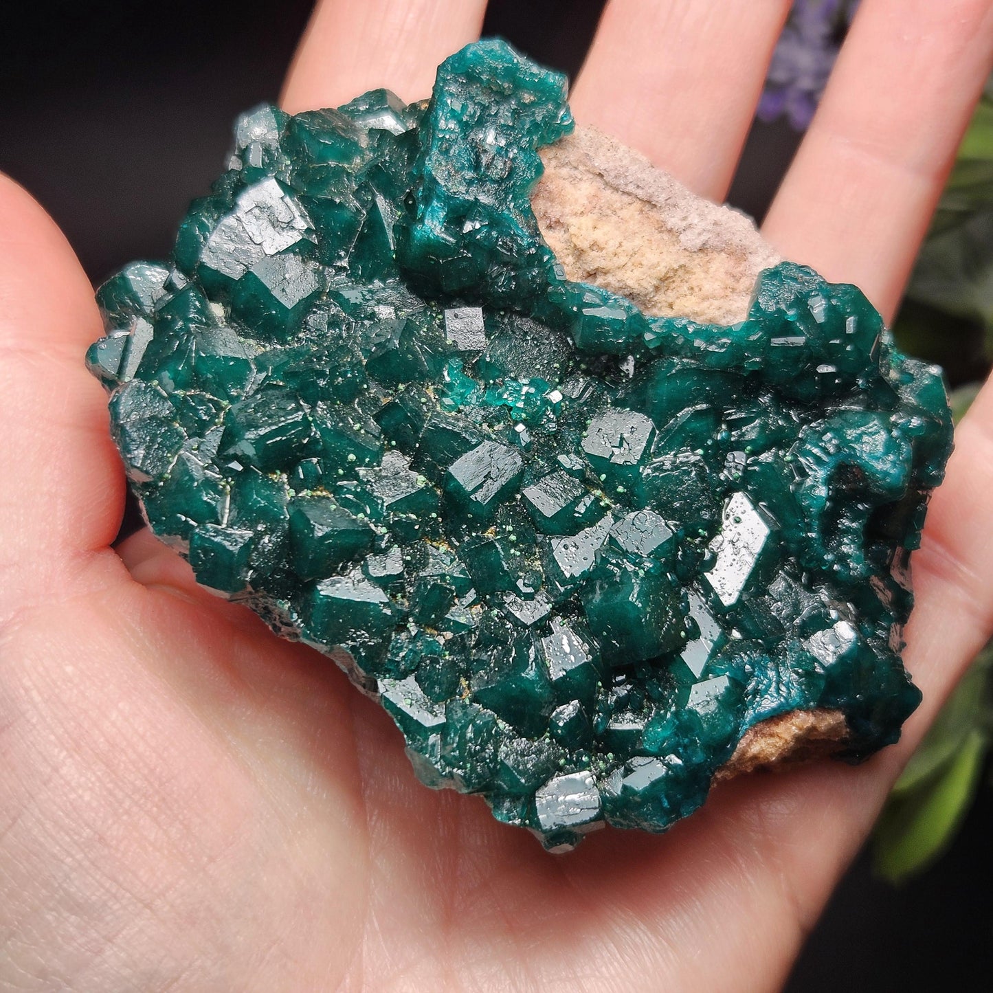 Dioptase Cluster Specimen from Congo 115g