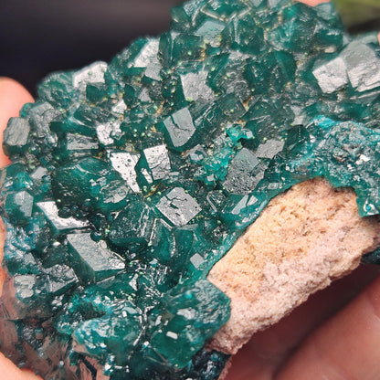 Dioptase Cluster Specimen from Congo 115g