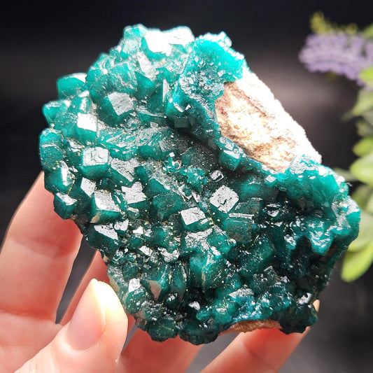 Dioptase Cluster Specimen from Congo 115g