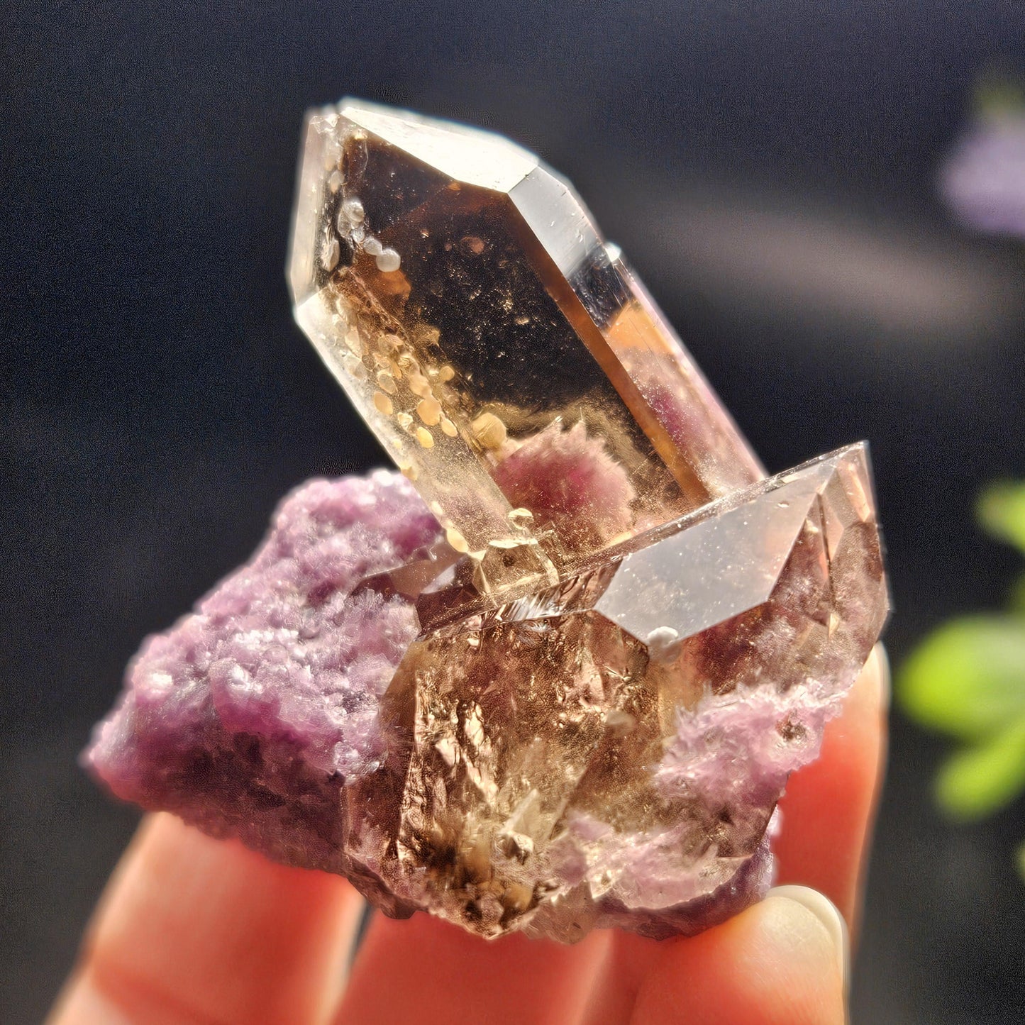 Smoky Quartz on Lepidolite Crystal Specimen from Brazil 51.0g, Smoky Crystal Point, Lepidolite Cluster, Terminated Smoky Quartz