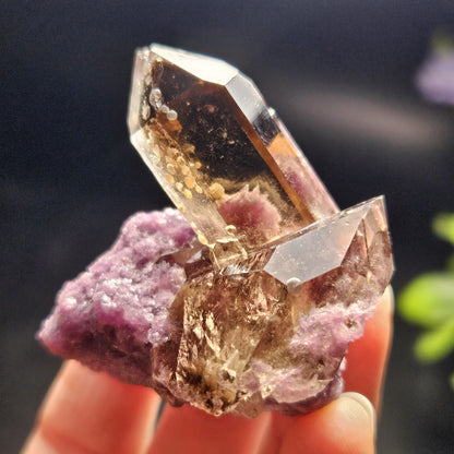 Smoky Quartz on Lepidolite Crystal Specimen from Brazil 51.0g, Smoky Crystal Point, Lepidolite Cluster, Terminated Smoky Quartz