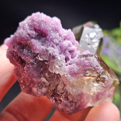 Smoky Quartz on Lepidolite Crystal Specimen from Brazil 51.0g, Smoky Crystal Point, Lepidolite Cluster, Terminated Smoky Quartz