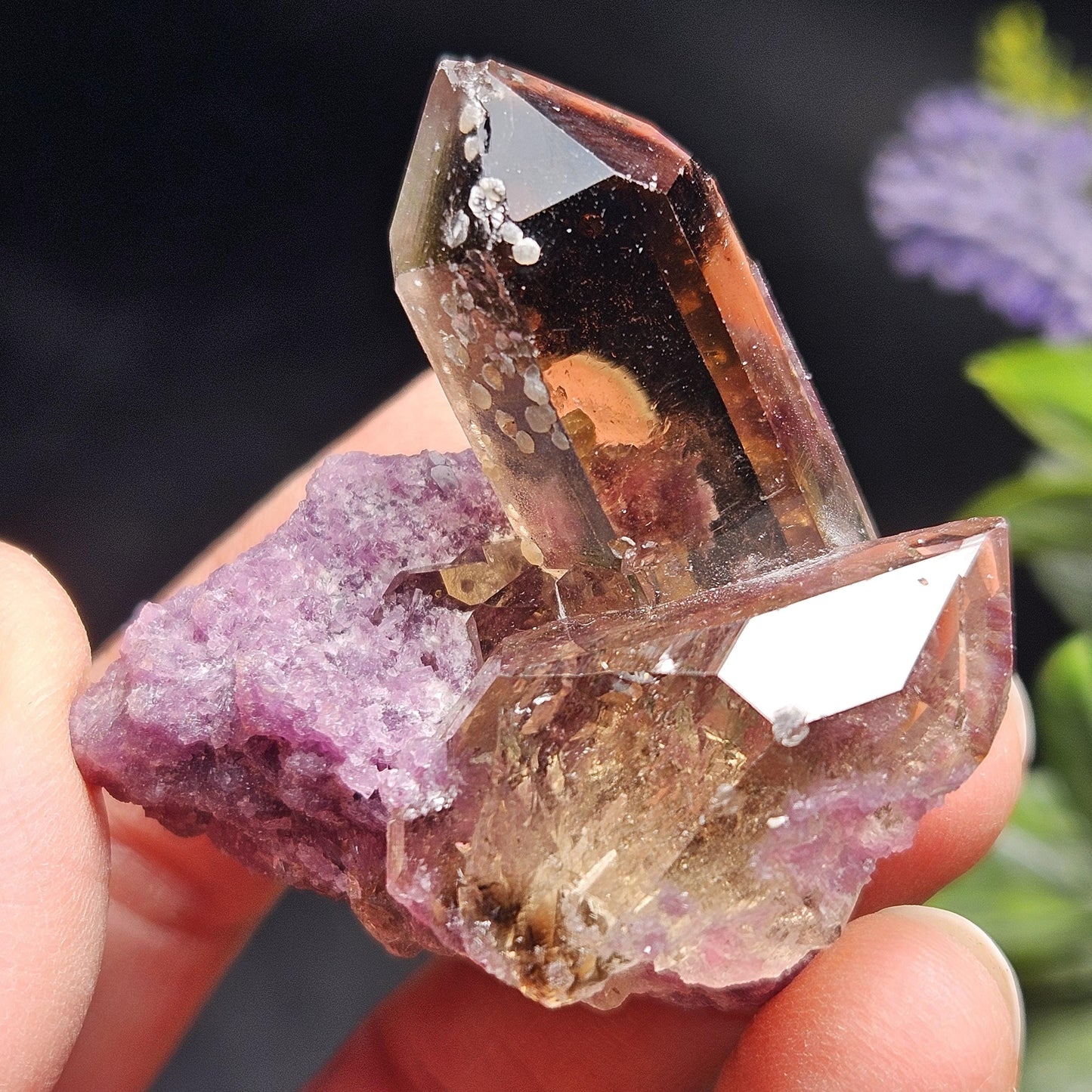 Smoky Quartz on Lepidolite Crystal Specimen from Brazil 51.0g, Smoky Crystal Point, Lepidolite Cluster, Terminated Smoky Quartz
