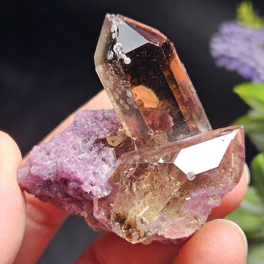 Smoky Quartz on Lepidolite Crystal Specimen from Brazil 51.0g, Smoky Crystal Point, Lepidolite Cluster, Terminated Smoky Quartz