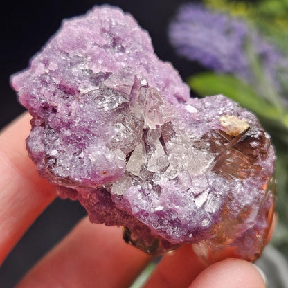 Smoky Quartz on Lepidolite Crystal Specimen from Brazil 51.0g, Smoky Crystal Point, Lepidolite Cluster, Terminated Smoky Quartz