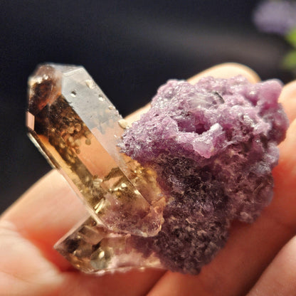 Smoky Quartz on Lepidolite Crystal Specimen from Brazil 51.0g, Smoky Crystal Point, Lepidolite Cluster, Terminated Smoky Quartz