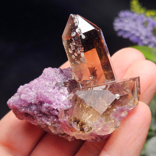 Smoky Quartz on Lepidolite Crystal Specimen from Brazil 51.0g, Smoky Crystal Point, Lepidolite Cluster, Terminated Smoky Quartz
