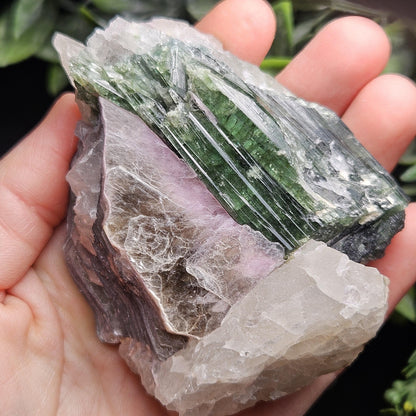 HUGE Green Tourmaline in Quartz Crystal 222.56g, Brazilian Quartz & Green Tourmaline Specimen, Tourmaline Crystal with Lepidolite
