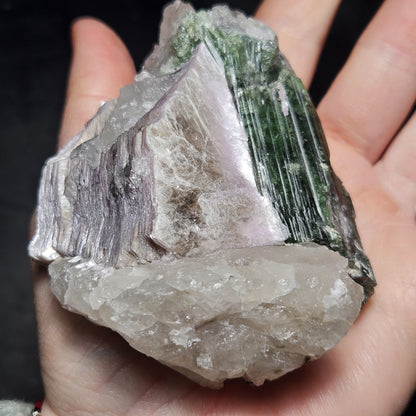 HUGE Green Tourmaline in Quartz Crystal 222.56g, Brazilian Quartz & Green Tourmaline Specimen, Tourmaline Crystal with Lepidolite