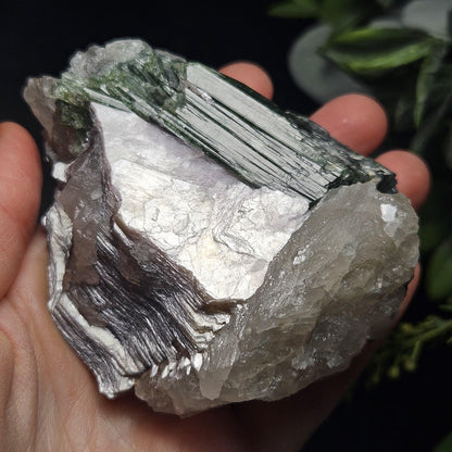 HUGE Green Tourmaline in Quartz Crystal 222.56g, Brazilian Quartz & Green Tourmaline Specimen, Tourmaline Crystal with Lepidolite