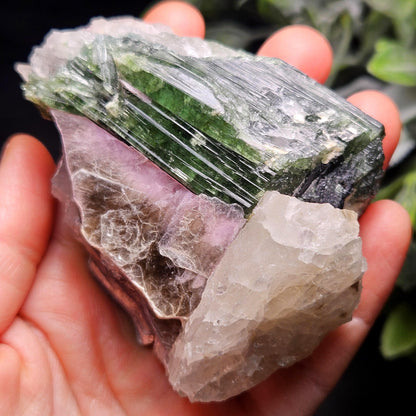 HUGE Green Tourmaline in Quartz Crystal 222.56g, Brazilian Quartz & Green Tourmaline Specimen, Tourmaline Crystal with Lepidolite