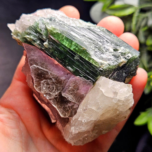 HUGE Green Tourmaline in Quartz Crystal 222.56g, Brazilian Quartz & Green Tourmaline Specimen, Tourmaline Crystal with Lepidolite