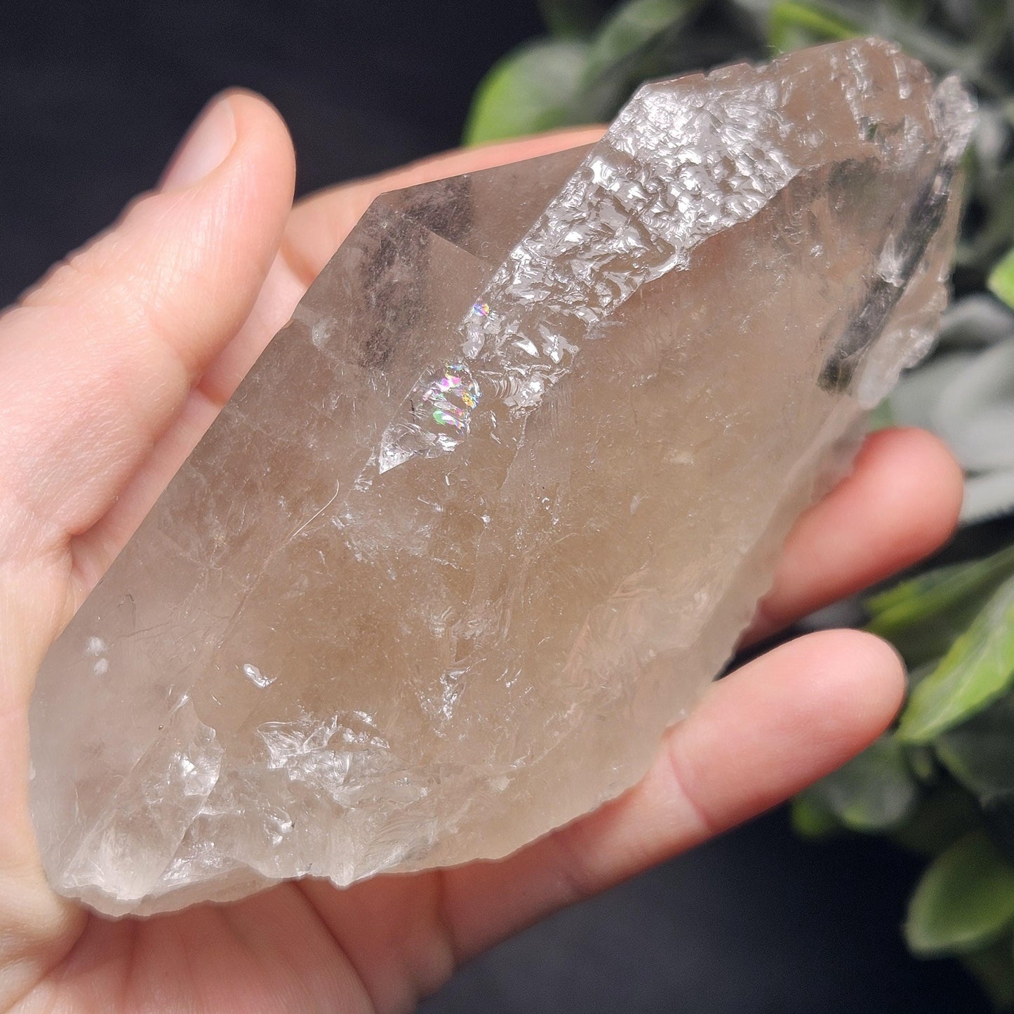 Green & Black Tourmaline in Quartz Crystal 344g, Brazilian Quartz with Tourmaline, Green Tourmaline Specimen, Tourmaline Crystal
