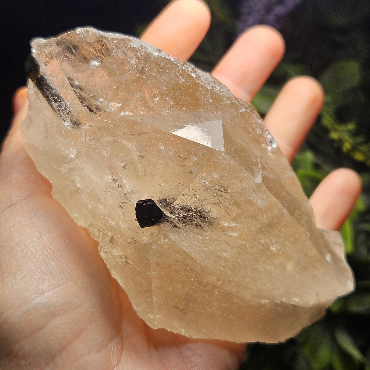 Green & Black Tourmaline in Quartz Crystal 344g, Brazilian Quartz with Tourmaline, Green Tourmaline Specimen, Tourmaline Crystal