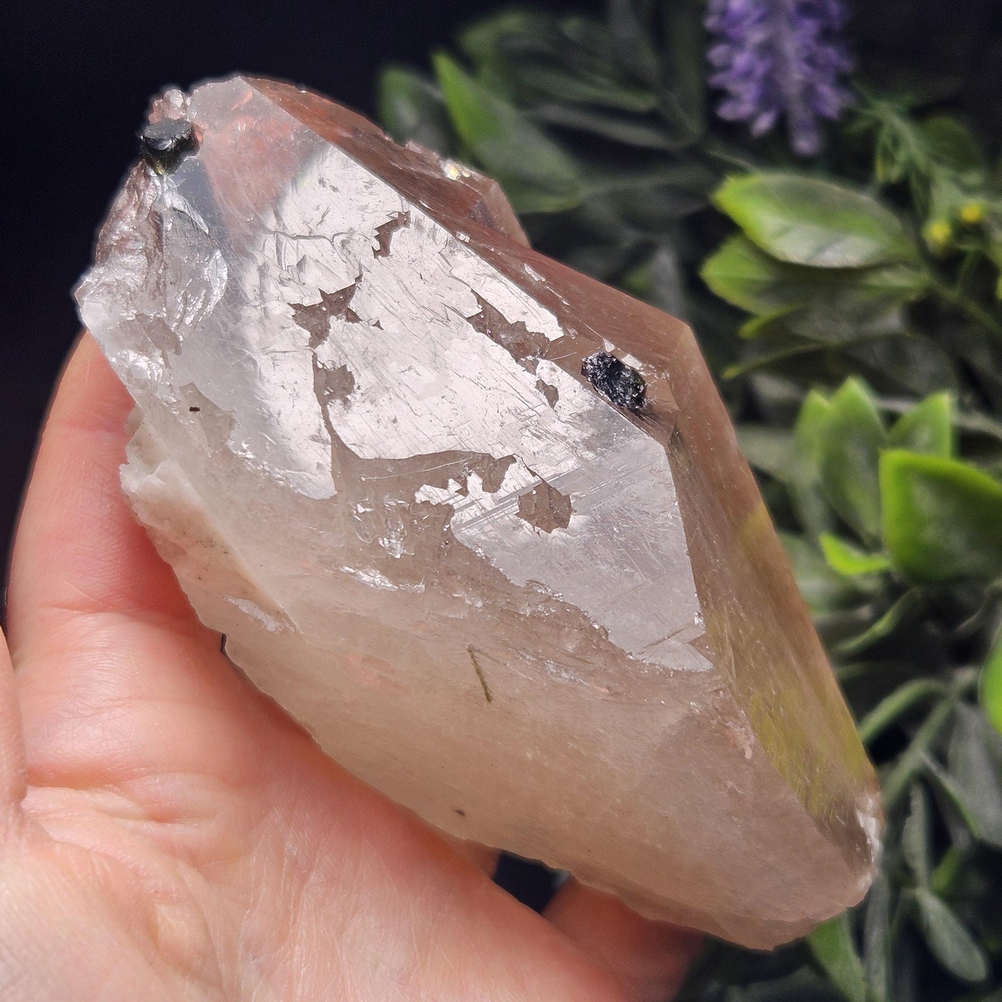 Green & Black Tourmaline in Quartz Crystal 344g, Brazilian Quartz with Tourmaline, Green Tourmaline Specimen, Tourmaline Crystal