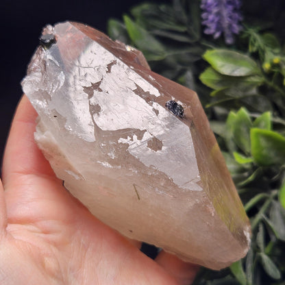 Green & Black Tourmaline in Quartz Crystal 344g, Brazilian Quartz with Tourmaline, Green Tourmaline Specimen, Tourmaline Crystal