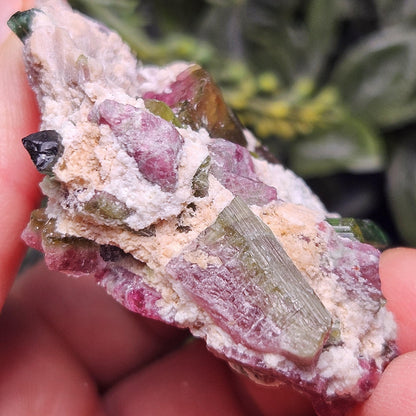 Watermelon Tourmaline Crystal Specimen 43.05g, Brazilian Quartz with Tourmaline, Pink Tourmaline Specimen, Green Tourmaline Crystal