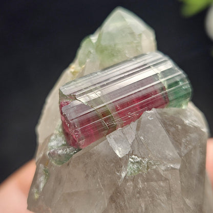 Watermelon Tourmaline on Quartz 166.23g, Terminated Bicolored Brazilian Tourmaline Specimen, Watermelon Tourmaline Crystal, Pink Tourmaline