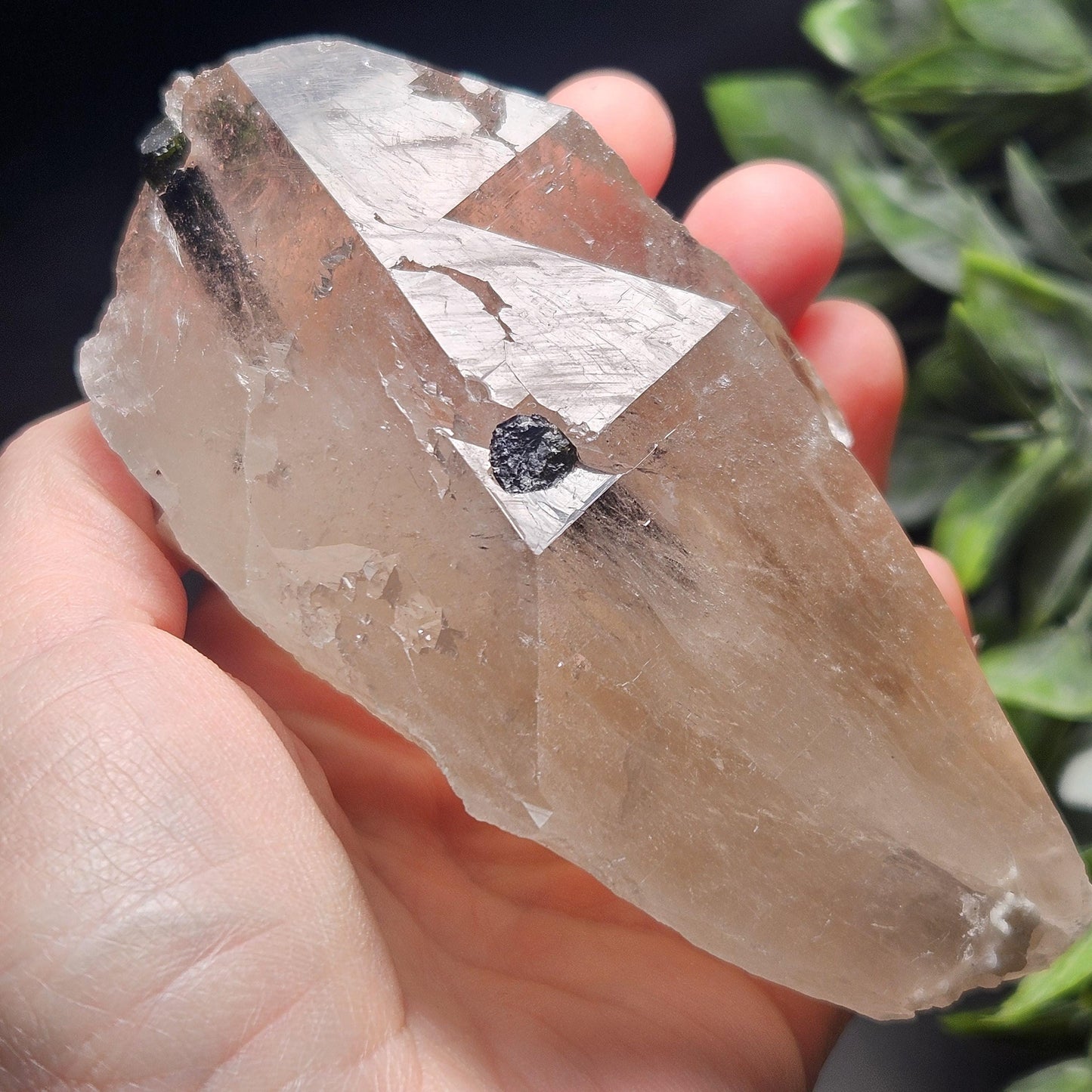 Green & Black Tourmaline in Quartz Crystal 344g, Brazilian Quartz with Tourmaline, Green Tourmaline Specimen, Tourmaline Crystal