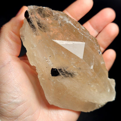 Green & Black Tourmaline in Quartz Crystal 344g, Brazilian Quartz with Tourmaline, Green Tourmaline Specimen, Tourmaline Crystal