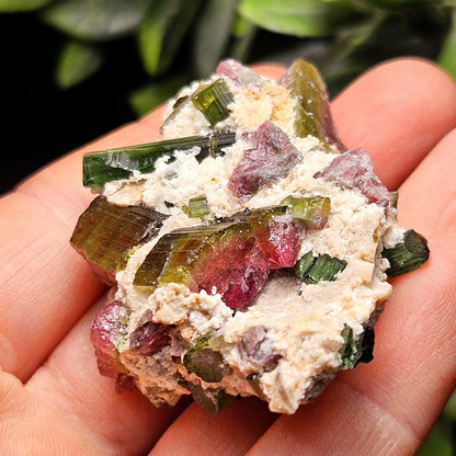 Watermelon Tourmaline Crystal Specimen 43.05g, Brazilian Quartz with Tourmaline, Pink Tourmaline Specimen, Green Tourmaline Crystal