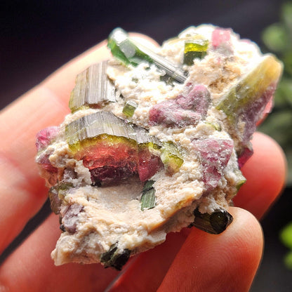 Watermelon Tourmaline Crystal Specimen 43.05g, Brazilian Quartz with Tourmaline, Pink Tourmaline Specimen, Green Tourmaline Crystal