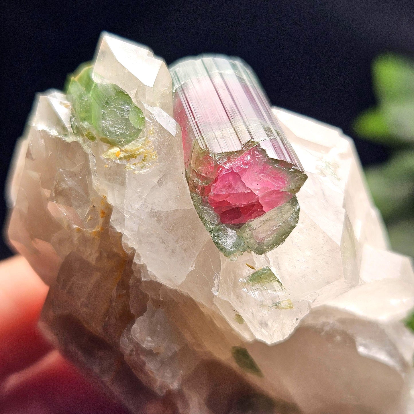 Watermelon Tourmaline on Quartz 166.23g, Terminated Bicolored Brazilian Tourmaline Specimen, Watermelon Tourmaline Crystal, Pink Tourmaline