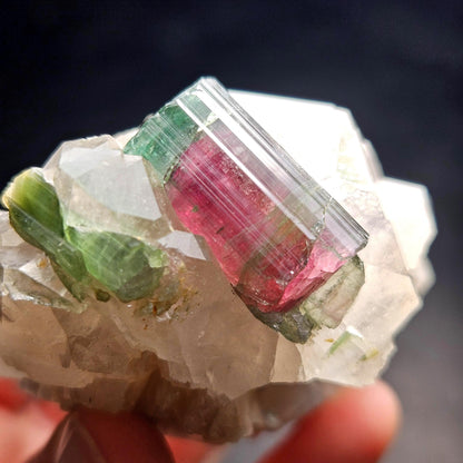 Watermelon Tourmaline on Quartz 166.23g, Terminated Bicolored Brazilian Tourmaline Specimen, Watermelon Tourmaline Crystal, Pink Tourmaline